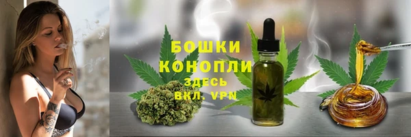 эйфоретик Инта