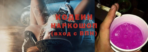 эйфоретик Иннополис