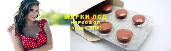 спайс Инсар