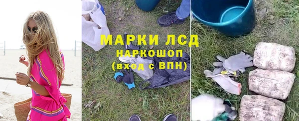 спайс Инсар