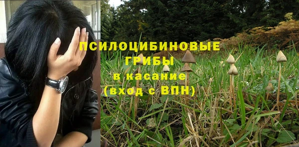 эйфоретик Иннополис