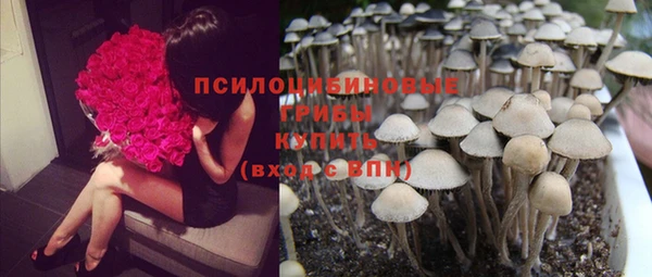 jwh Зерноград