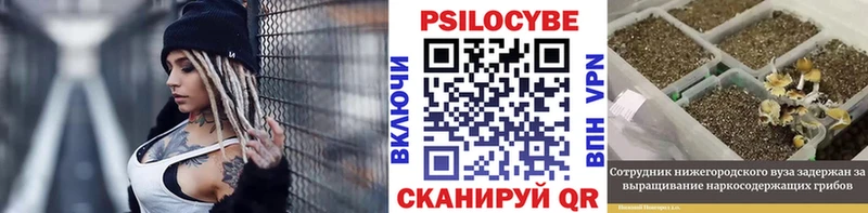 Купить  Отрадное  Псилоцибиновые грибы прущие грибы 